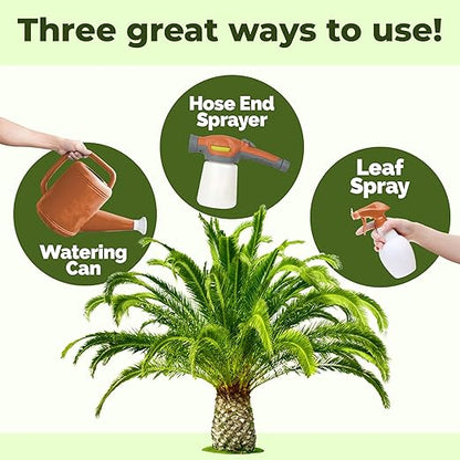 Sago Palm Fertilizer, Complete Liquid Sago Palm Plant Food, 8 oz (250mL)