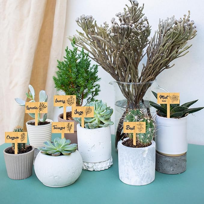 arricraft 15 Pcs Plant Labels, Wooden Herb Markers Herb T Type Tags Garden Labels with Printed Herb Name Wood Garden Stakes for Indoor and Outdoor Potted Seed Herbs Unique Funny Gifts