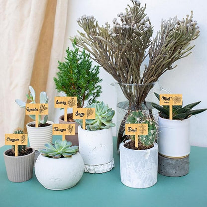 arricraft 15 Pcs Plant Labels, Wooden Herb Markers Herb T Type Tags Garden Labels with Printed Herb Name Wood Garden Stakes for Indoor and Outdoor Potted Seed Herbs Unique Funny Gifts