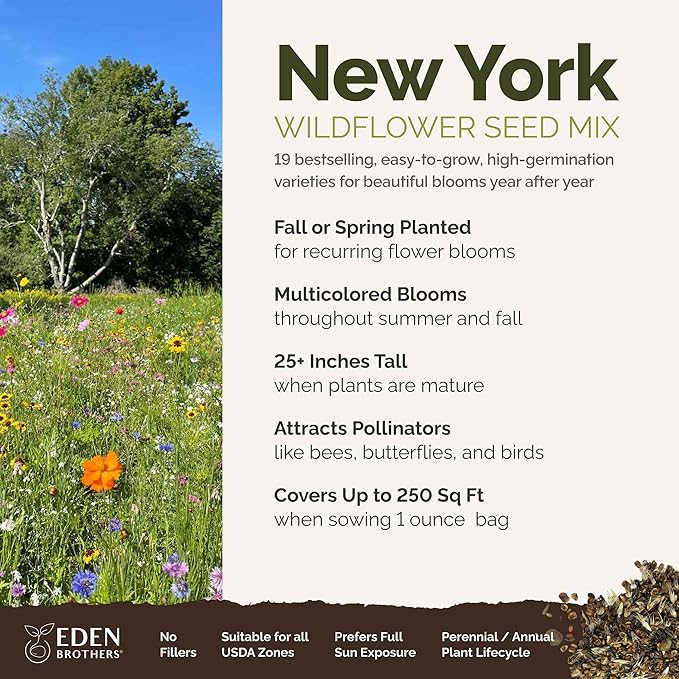 Eden Brothers New York Wildflower Mixed Seeds for Planting, 1 oz, 30,000+ Seeds with Coneflower, Cosmos | Attracts Pollinators, Plant in Spring or Fall, Zones