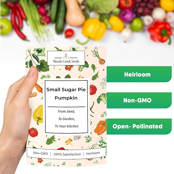Small Sugar Pie Pumpkin Seeds for Planting – Heirloom, Non-GMO Sugar Pumpkin Seeds for Garden Growing, Sweet Pie Pumpkins for Baking & Cooking | Woods Creek Seeds