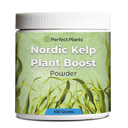 Nordic Kelp Plant Boost by Perfect Plants | Powder Seaweed Fertilizer to Support Strong Roots & Healthy Growth | Use On All Indoor & Outdoor Plants | NPK 0-0-17