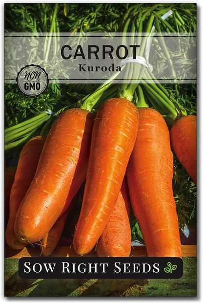 Sow Right Seeds - Kuroda Carrot Seeds for Planting - Non-GMO Heirloom Packet with Instructions to Plant a Home Vegetable Garden - Great for Outdoor Fall Planting - Great Gardening Gift (1)
