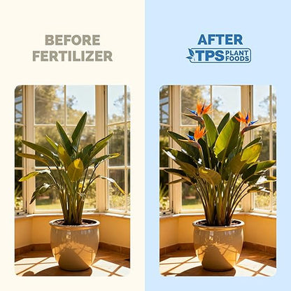Bird of Paradise Fertilizer for All Strelitzia Plants, Liquid Plant Food 1 Gallon (128oz)