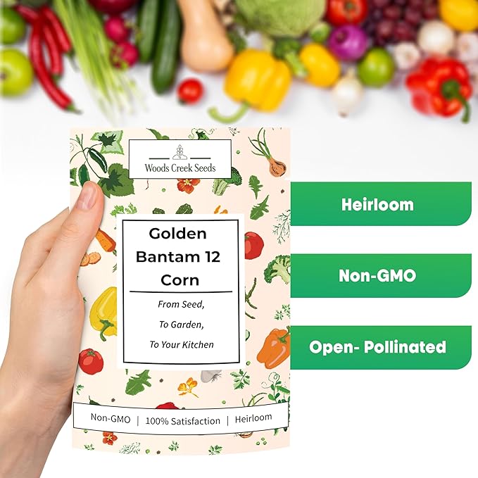 Golden Bantam 12 Sweet Corn Seeds for Planting – Heirloom Non-GMO Yellow Sweet Corn for Home Gardens | Woods Creek Seeds