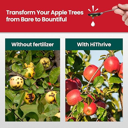 16oz Apple Tree Fertilizer - Makes 16 Gallons of Apple Tree Fertilizer, Nutrient-Rich Plant Food for Fruit Trees - Promotes Strong Branches, Healthy Foliage, and Juicy Apples