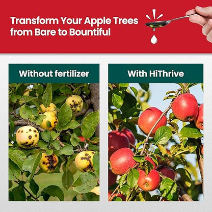 16oz Apple Tree Fertilizer - Makes 16 Gallons of Apple Tree Fertilizer, Nutrient-Rich Plant Food for Fruit Trees - Promotes Strong Branches, Healthy Foliage, and Juicy Apples