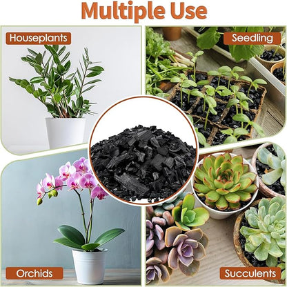 Horticultural Charcoal for Plants,2QT Premium Activated Charcoal for Indoor and Outdoor Plants,Ideal for Soil Amendment, Orchids,Succulent,Cactus, Terrariums & Gardening