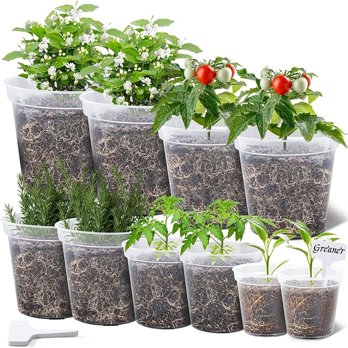GREANER Clear Plant Pots, Plastic Planters for Indoor Plants, Seed Starting Pot with Drainage Holes, 4/5/6/7/8 Inch(10 Packs)