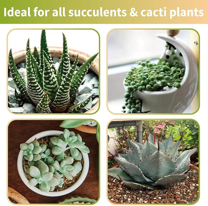 Succulent & Cactus Soil Potting Mix 10qt, Chunky Dirt with Fast Draining Fits for Bonsai, Terrarium and Houseplant