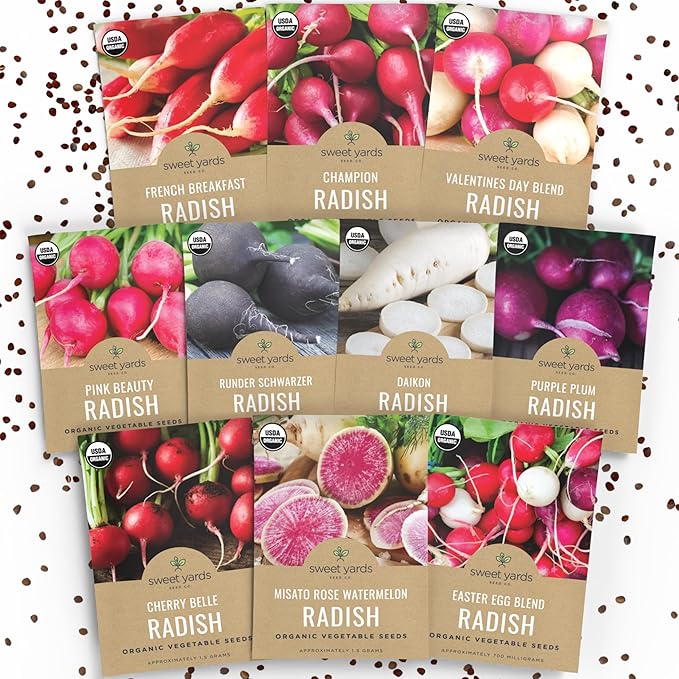 Organic Radish Seeds Variety Pack - 10 Individual Packs - 2026 Season - Pink Beauty, Purple Plum, French Breakfast, Misato Rose and More! for Indoor & Outdoor Planting (Non-GMO, Certified Organic)