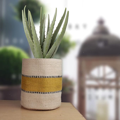 Planter Basket Modern Woven Basket for 10" Flower Pot Indoor Planters, 12” x 12” Storage Organizer Basket Rustic Home Decor, Boho Chic Storage Earth-Friendly Cotton ECO-Twist Planter