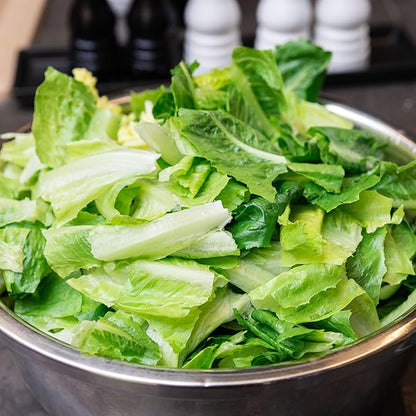 Seed Needs Romaine Lettuce Seeds for Planting Parris Island COS - Non-GMO Heirloom & Untreated Annual Cool Weather Crops - Grow a Home Grown Outdoor Vegetable Garden (1 Pack)