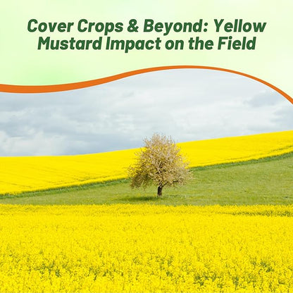 Outsidepride Yellow Mustard Seeds - 5000 Pcs Nutrient-Rich, Flavorful Annual Microgreen Seeds for Planting, Easy-to-Grow, Ideal for Indoor & Outdoor Cultivation, Soil & Hydroponic Systems