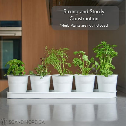 SCANDINORDICA White Herb Planter 5 Pots with Drainage Holes and Tray, Windowsill Planter, Indoor/Outdoor Herb Pots