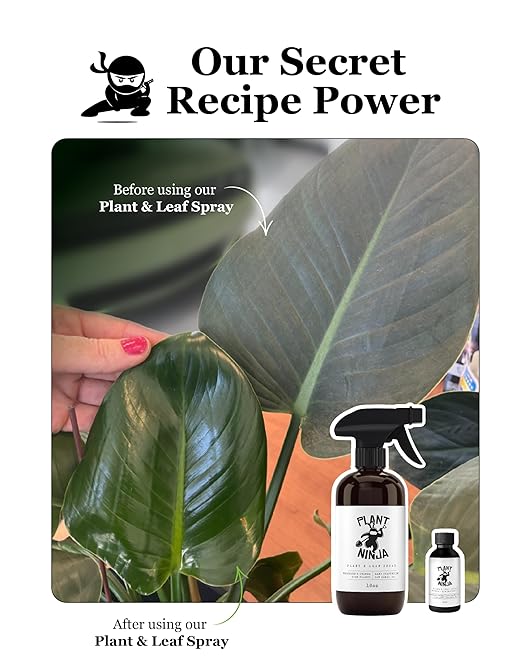 Plant & Leaf Spray – Non-Toxic Leaf Shine & Protector | Eco-Friendly, Safe for Indoor Plants | Handcrafted, Women-Owned, 3rd Generation Recipe | Plant-Based Formula with Gentle Silicone