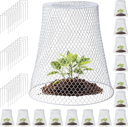 Therwen 15 Pcs Large Chicken Wire Cloche Plant Protector Cover 11x12 Inch Metal Garden Cloche Dome for Plants Wire Protection Basket with Garden Stakes Plant Cages from Animals (White)