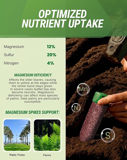Magnesium Palm Tree Fertilizer Spikes, Pack of 40 - Fertilizer Sticks & Plant Food Spikes for Palm Trees & Ferns - Contains Magnesium, Sulfur & Nitrogen, Essential Nutrients