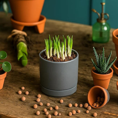 D'vine Dev Set of 4 Small Ceramic Plant Pots, 3.5 Inch Succulent Planter Pot for Plants with Drainage Hole and Saucer, Grey, 94-X-A-3