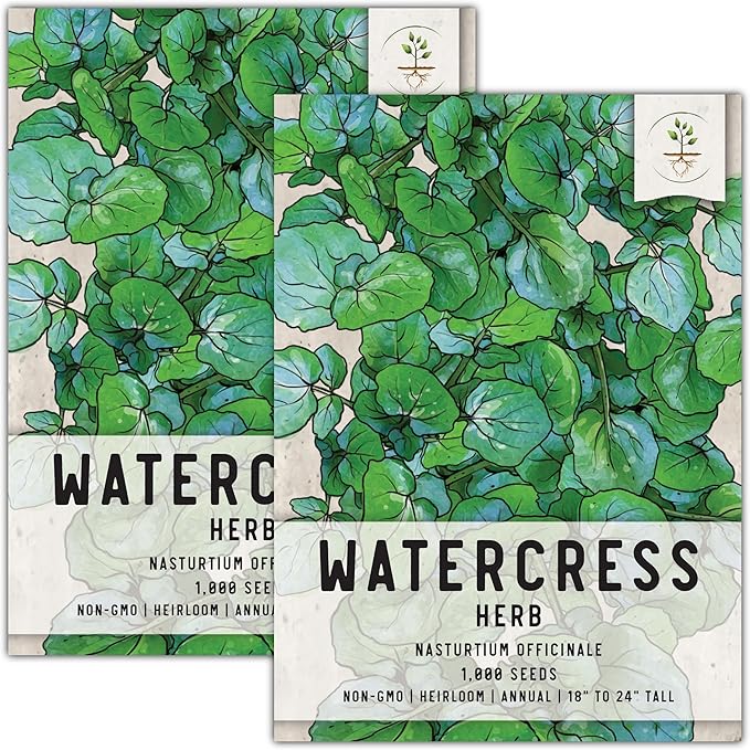 Seed Needs Watercress Seeds for Planting Nasturtium officinale - Non-GMO Heirloom & Untreated - Plant Your own Home Grown Culinary Herb Garden Indoors or Outdoors (2 Packs)
