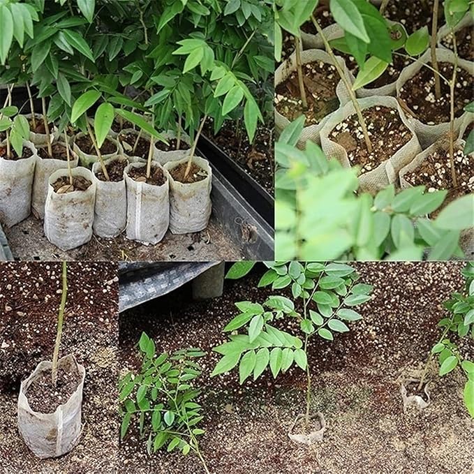 100PCS Plant Grow Bags, Non-Woven Plant Nursery Bags Fabric Seedling Pots for Garden