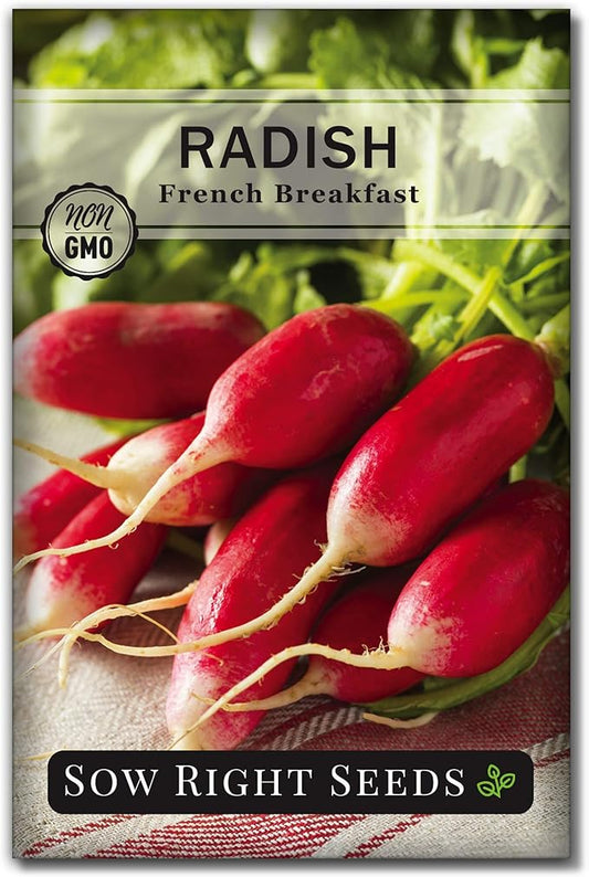 Sow Right Seeds - French Breakfast Radish Seed for Planting - Non-GMO Heirloom Packet with Instructions to Plant a Home Vegetable Garden - Fast Growing Variety - Long and Tapered with Spicy Flavor (1)