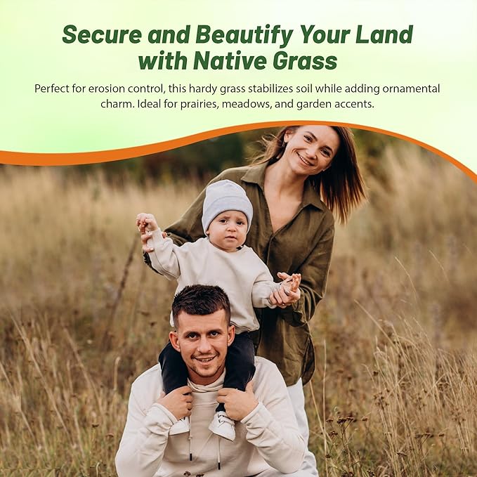 Outsidepride Perennial Andropogon Big Bluestem Grass Seed - 10 lbs. Warm Season, Drought Resistant, Native Prairie Grass Seed, Ideal for Erosion Control, Ornamental Landscaping & Wildlife Gardens