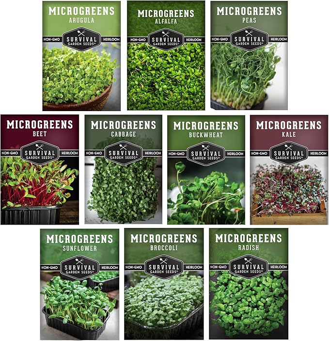 Microgreen Seeds Variety Pack – 10 Heirloom Types for Indoor Sprouting – Broccoli, Pea, Sunflower, Radish, Kale, Arugula & More – High Germination Non-GMO – Survival Garden Seeds (Seed Packs Only)