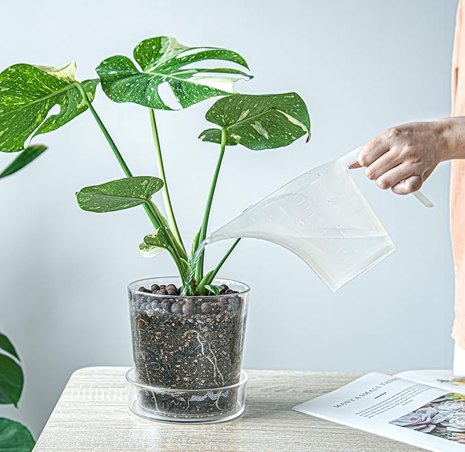 Phoenix Vine 6.5 Inch Clear Acrylic Planter Pot with Tray, Orchid Pot with Drainage Holes, Deep Saucer for Bottom Watering, Transparent Containers for Indoor Plants, Herbs, Set of 4, 91-A-F-4