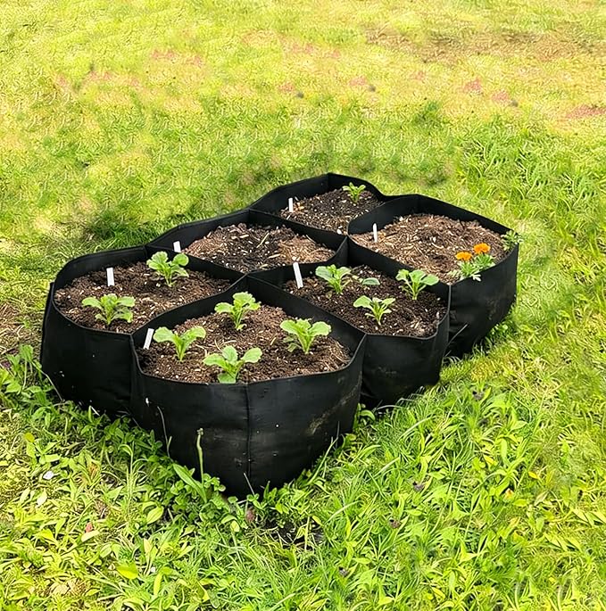 Fabric Raised Garden Bed, Grow Bags to Vegetable Herbs Flowers, 57 Gallon Fabric Plant Pots Indoor Outdoor, 4x2x1ft
