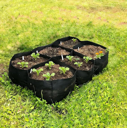 Fabric Raised Garden Bed, Grow Bags to Vegetable Herbs Flowers, 57 Gallon Fabric Plant Pots Indoor Outdoor, 4x2x1ft