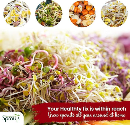 Nature Jims Organic Radish Sprout Seeds – 16 Ounce Premium Non-GMO Radish Seeds for Sprouting, Rich in Vitamins, Minerals, Fiber & Protein – Microgreen & Sprout Seeds for Home Growing