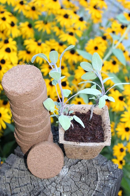 Netted Coco Coir Discs (30mm 50-Pack) - Coconut Coir Seed Starting Discs - Coconut Fiber Seedling Soil for House Plants, Potting Soil, & Indoor Plants - Organic Coco Coir for Plants & Potting Mix