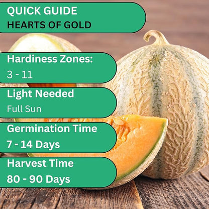 Hearts of Gold Cantaloupe Seeds for Planting – Heirloom Non-GMO Melon Seeds for Home Gardens | Woods Creek Seeds