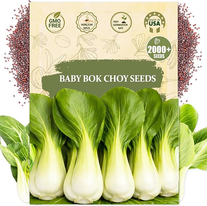 Baby Bok Choy Seeds for Planting - 2000+ Heirloom Non-GMO Asian Vegetable Seeds for Quick Harvest, Stir Fry & Soup - Garden Beds, Containers & Microgreens