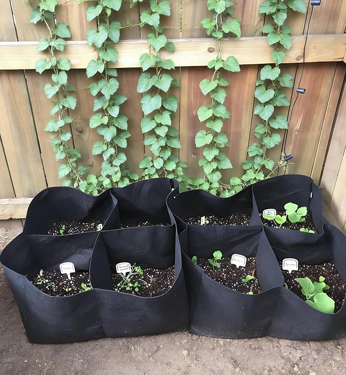 2 Pack Fabric Grow Bags, Raised Garden Bed for Vegetable Herbs Flowers, Fabric Plant Pots Indoor Outdoor, 2x2x1ft