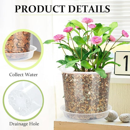 20 Pack 4 Inch Clear Nursery Pots with Drainage and Saucer, Clear Plastic Planter Pots for Plants, Flexible Seed Starting Pots for Succulents, Small Herbs, Annual Flowers (4 Inch)