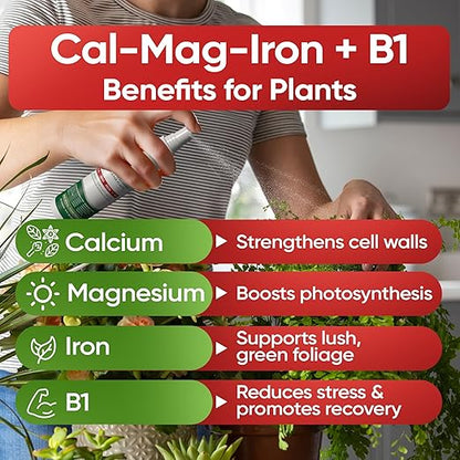 Hormex Mother Mist Cal-Mag-Iron + B1 Plant Nutrient Deficiency Spray - Boost Growth, Strength & Cloning Success - All Purpose Foliar Spray for Houseplants, Flowers & Vegetables, 12oz