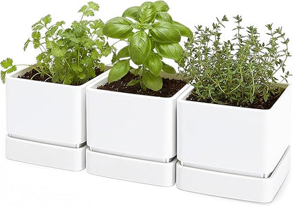 D'vine Dev 6 Inch Herb Planter Pot, Plastic Planter with Drainage Holes and Saucer, Modern Decorative Gardening Pot for Indoor Plants, Flowers, Herbs, Succulents, White, Set of 3, 76-Y-A3-2