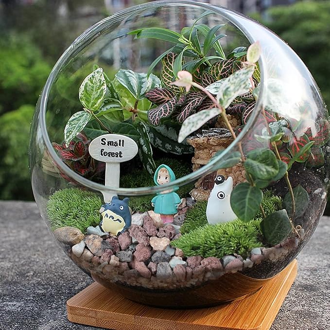 3lbs Mix Horticultural Lava Rocks for Plants, 3/8 Inch Potting Soil Amendment for Succulents, Cacti, Bonsai, Decorative Gravel Plant Drainage Volcanic for Terrarium, Top Dressing
