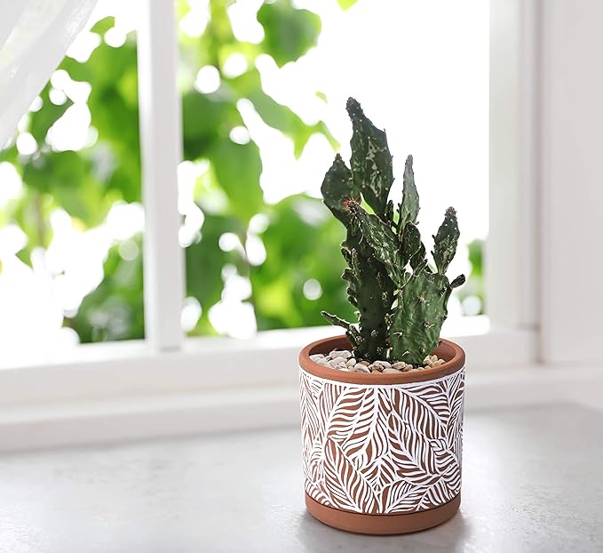D'vine Dev Set of 2 Terracotta Pots, Leaf Pattern Planter Pot, 4 Inch and 6 Inch, Pot with Drainage Hole and Saucer, Terracotta/White, 31-958-T-1
