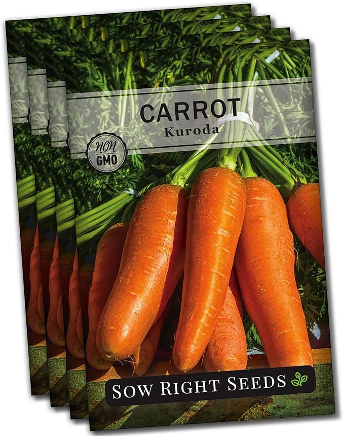 Sow Right Seeds - Kuroda Carrot Seeds for Planting - Non-GMO Heirloom Packet with Instructions to Plant a Home Vegetable Garden - Great for Outdoor Fall Planting - Great Gardening Gift (4)