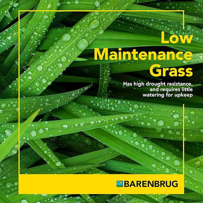 Barenbrug Wonderlawn Perennial Ryegrass Grass Seed for Southern Lawns, Fast-Acting Durable Grass Seed Mix for All Weather Conditions, 10-lb. Bag
