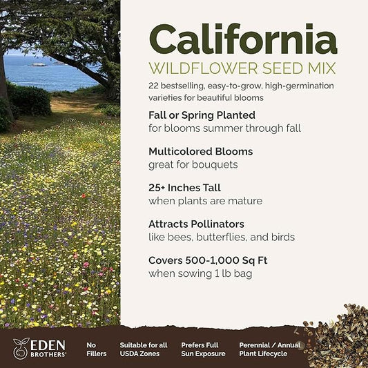 Eden Brothers California Wildflower Mixed Seeds for Planting, 1 lb, 480,000+ Seeds with Black Eyed Susan, Shasta Daisy | Attracts Pollinators, Plant in Spring or Fall, Zones 3, 4, 5, 6, 7, 8, 9, 10