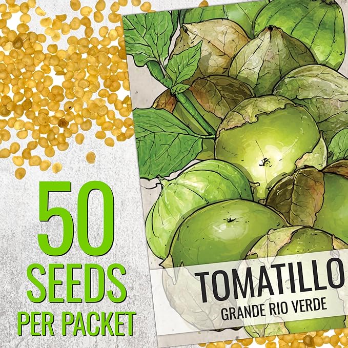 Seed Needs Grande Rio Verde Tomatillo Seeds for Planting - Non-GMO Heirloom & Untreated Vegetable Seed to Plant an Outdoor Home Grown Veggie Garden (2 Packs)