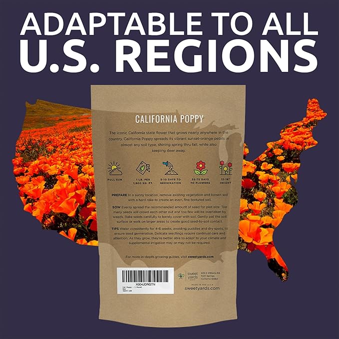 Bulk California Orange Poppy Wildflower Seeds - 1 Pound Bag - Over 320,000 Native Seeds - California State Flower!