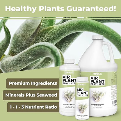 TPS NUTRIENTS Air Plant Fertilizer for All Tillandsia Air Plants, Use As Foliar Spray or for Soaking, Liquid Plant Food, 1 Gallon (128 oz)