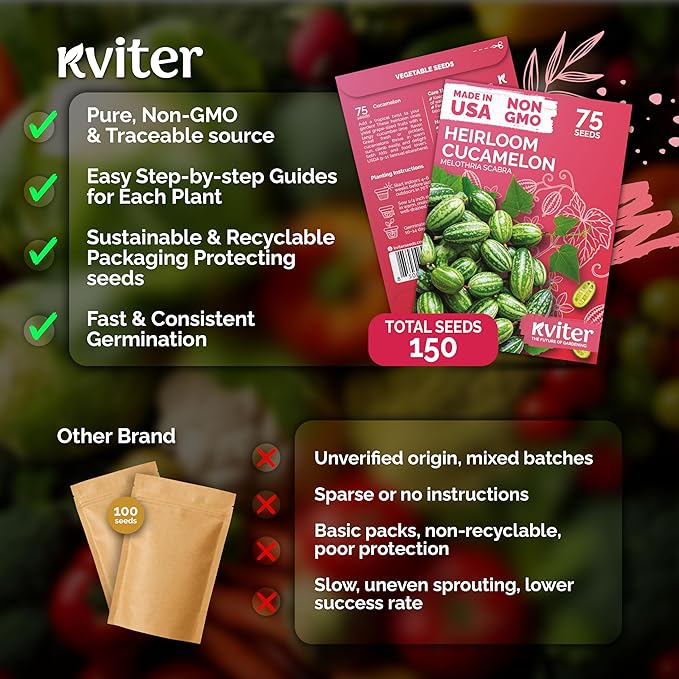 KVITER 150 Cucamelon Seeds for Planting (Melothria Scabra), 2 Pack – Mexican Sour Gherkin Seeds, Gherkin Cucumber, Mexican Mini Watermelon – Heirloom Vegetable Seed for Outdoor & Indoor Garden