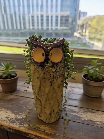 GeLive 9 Inch Owl Ceramic Vase, Farmhouse Flower Vase, Retro Owl Planter, String Pearl Succulent Pot for Bud Cutting Hydroponic Plant, Indoor Outdoor Home Decor, Cute Owl Fun Animal Cartoon Gift