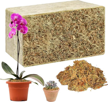 Hourleey 1.1 lb Sphagnum Moss for Plants, Premium Natural Long Fibered Dried Moss Potting, Sphagnum Peat Moss Bulk for Orchids Succulent Carnivorous Potted Plant Reptiles Medium Sarracenia